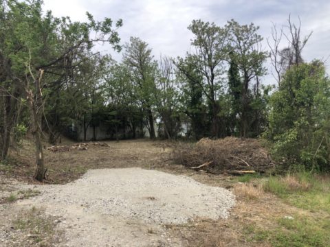 伐採　伐根　完了